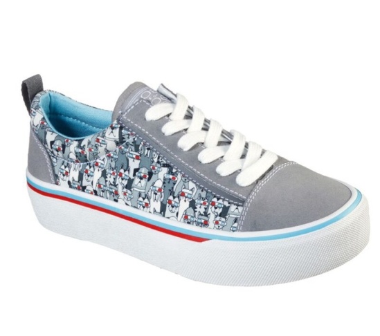 Skechers Bobs Marley - Blockmeowster Tenisky Damske Siva / Viacfarebný | 576-AEFWTO